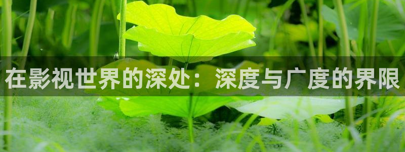 桃花影视在线免费观看